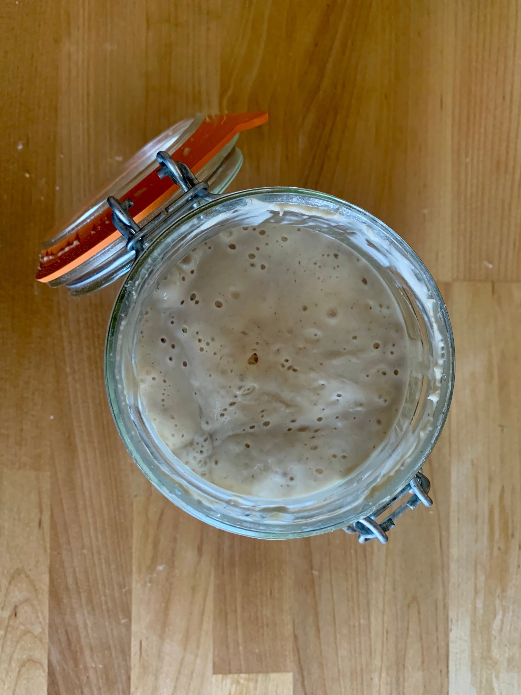 Beginner Sourdough Troubleshooting